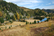 DSC_0075.jpg