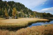 DSC_0142.jpg