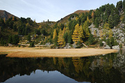 DSC_0147.jpg