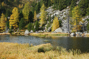 DSC_0182.jpg