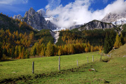 DSC_8307.jpg