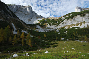 DSC_9131.jpg