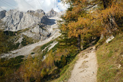 DSC_9573.jpg
