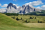 DSC_0234.JPG