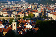 DSC_0730.jpg