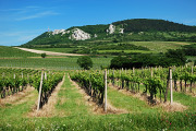DSC_1976.jpg