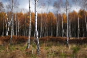 DSC_2832.jpg