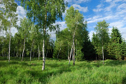 DSC_2902.jpg