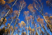 DSC_3159.jpg