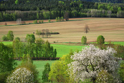 DSC_3426.jpg