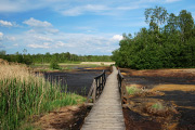DSC_3823.jpg