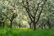 DSC_5582a.jpg