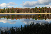 DSC_0280.jpg
