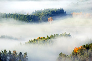 DSC_8028a.jpg