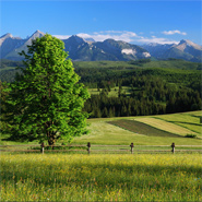 Slovensko